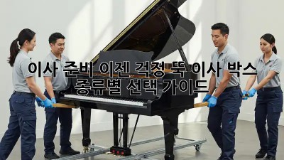 이사 준비, 이젠 걱정 뚝! 이사 박스 종류별 선택 가이드
